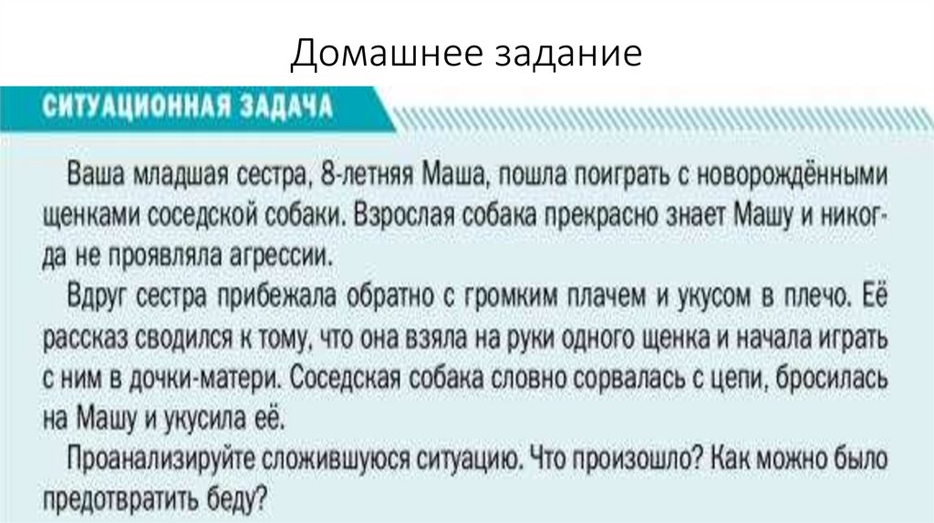 Домашнее задание