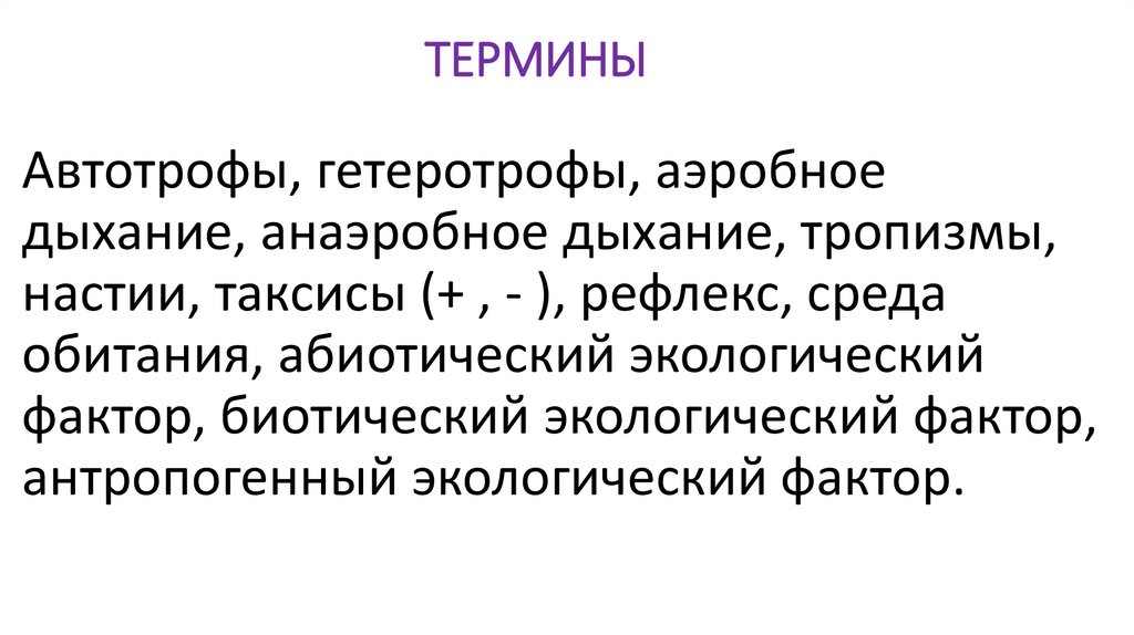 ТЕРМИНЫ