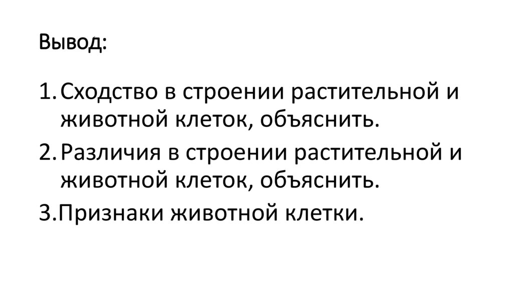 Вывод: