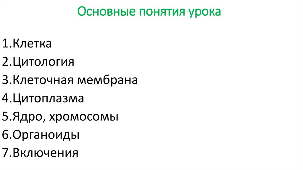 Основные понятия урока