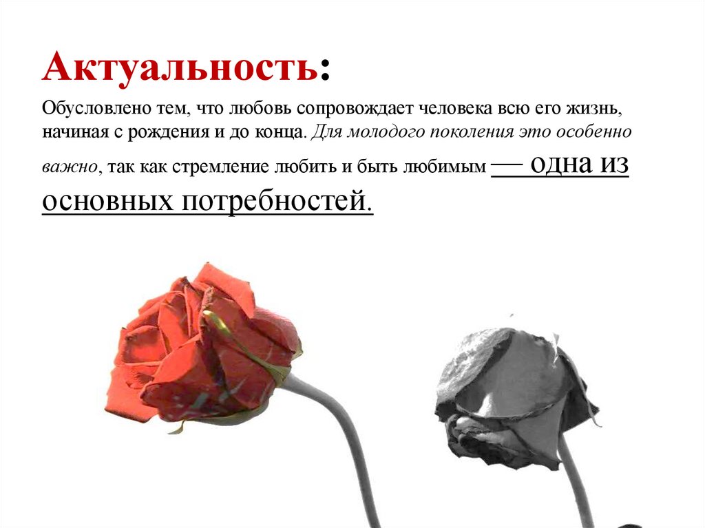 Актуальность: