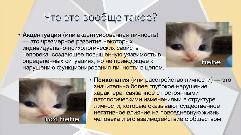 Что это вообще такое?