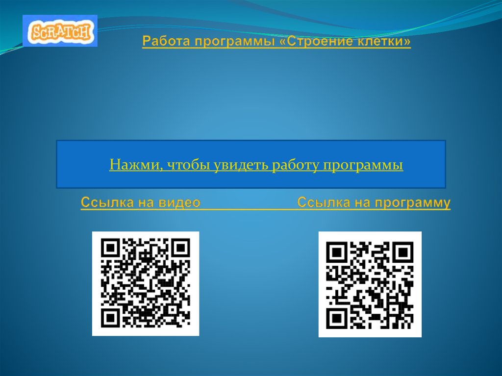 Работа программы «Строение клетки»
