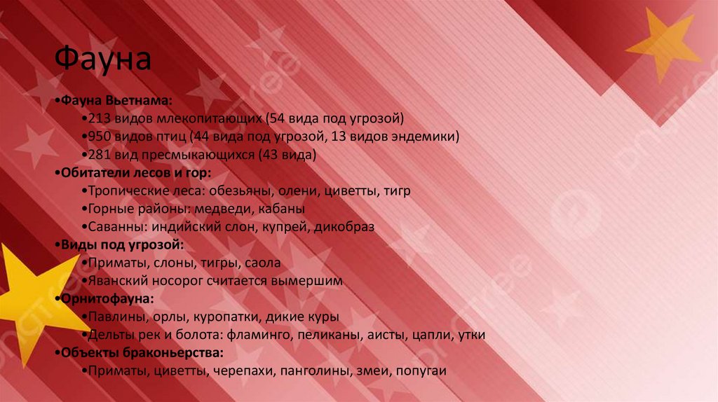 Фауна