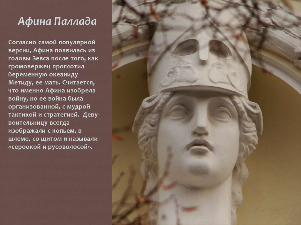 Афина Паллада