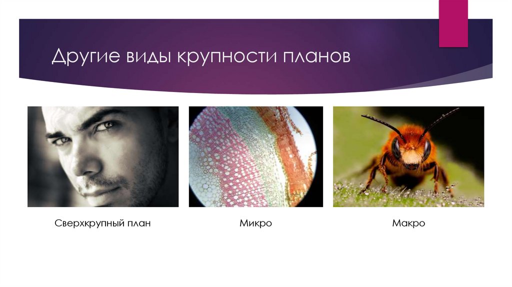 Другие виды крупности планов