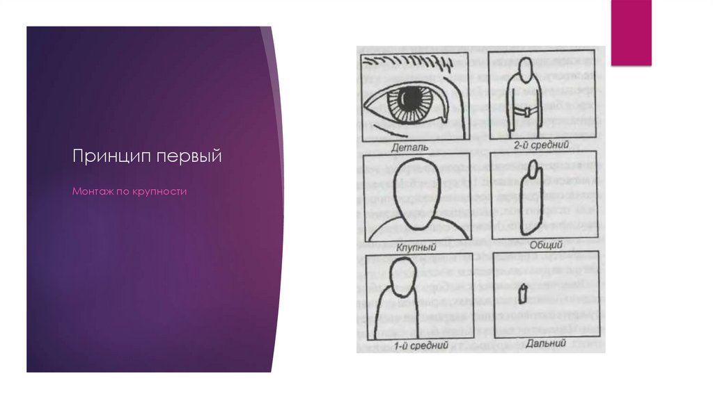 Принцип первый