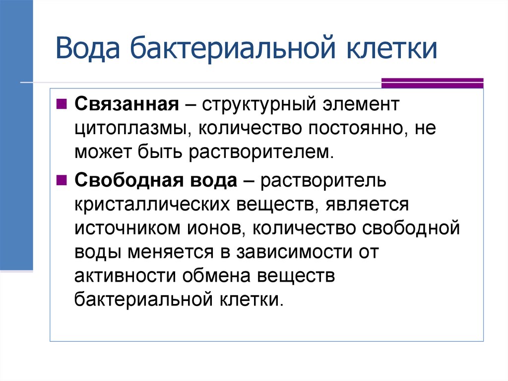 Вода бактериальной клетки