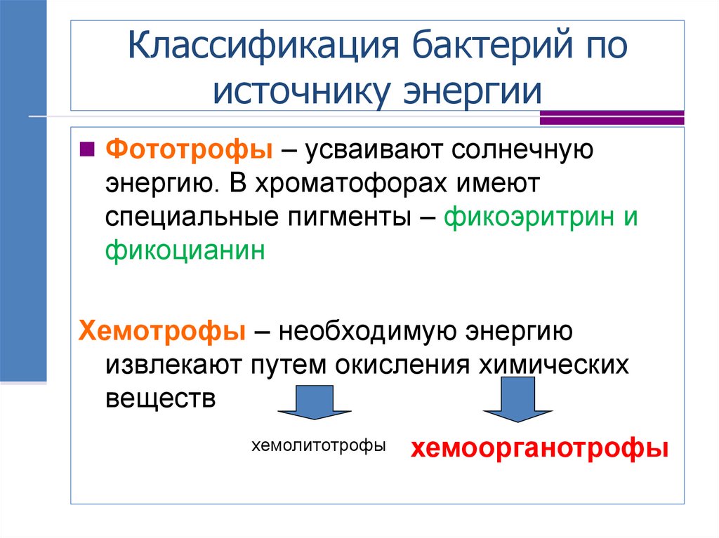Классификация бактерий по источнику энергии