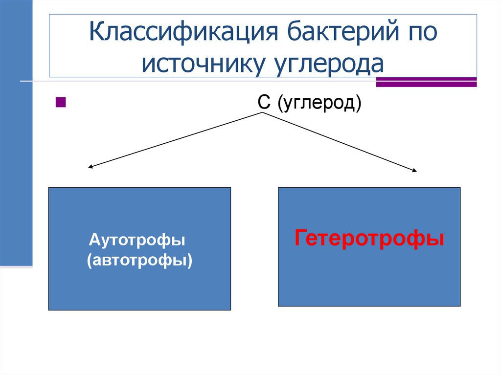 Классификация бактерий по источнику углерода
