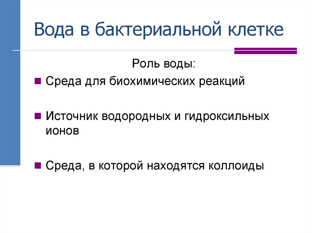 Вода в бактериальной клетке