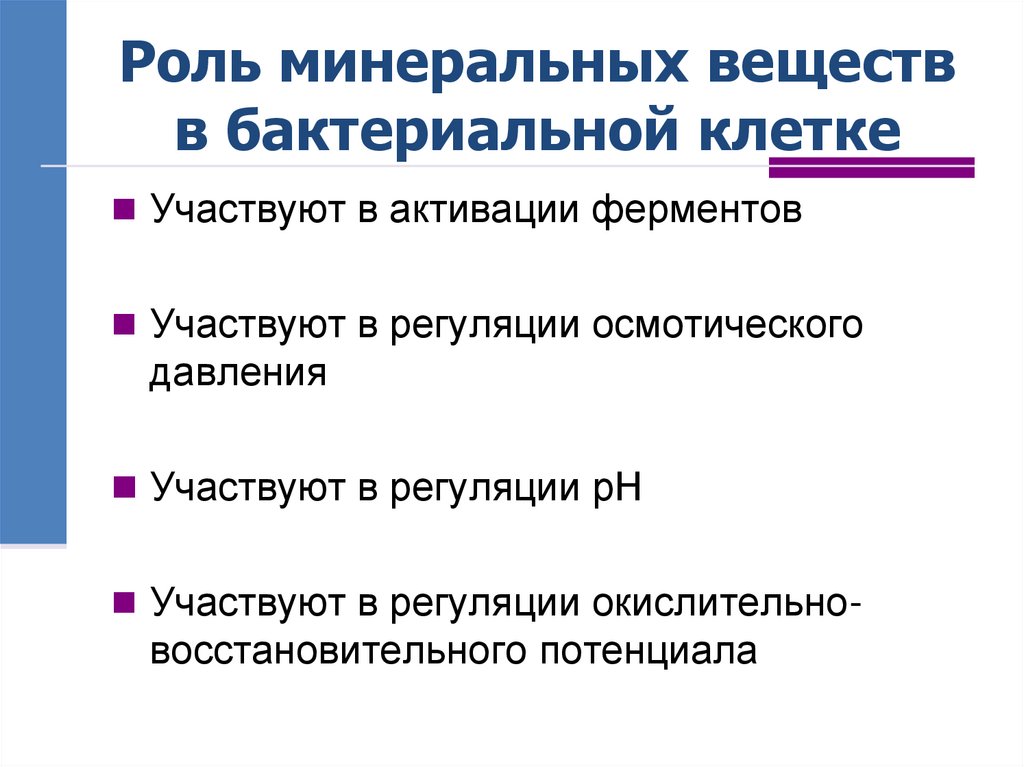 Роль минеральных веществ в бактериальной клетке