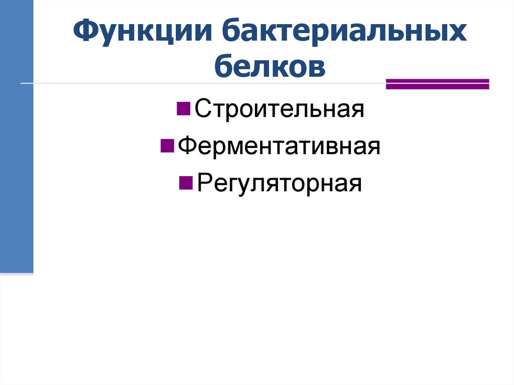 Функции бактериальных белков