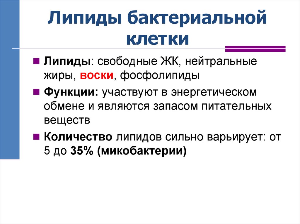 Липиды бактериальной клетки