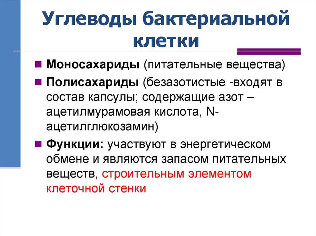 Углеводы бактериальной клетки