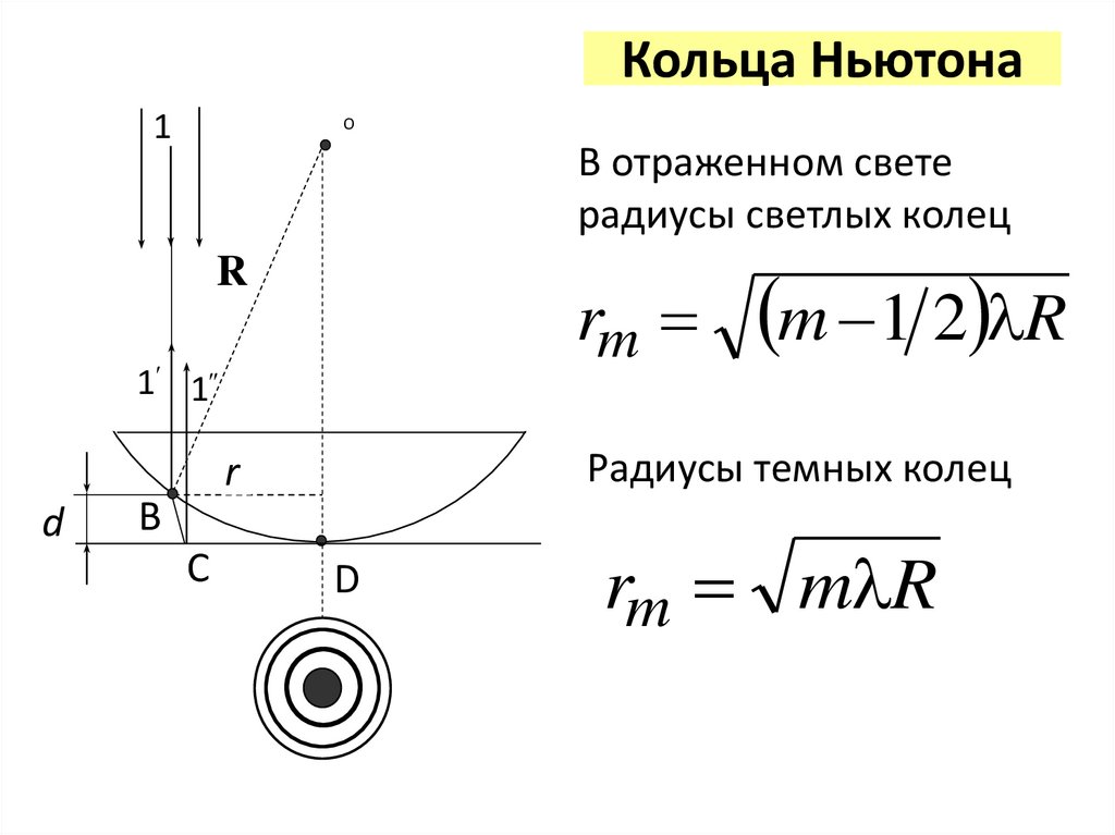Кольца Ньютона