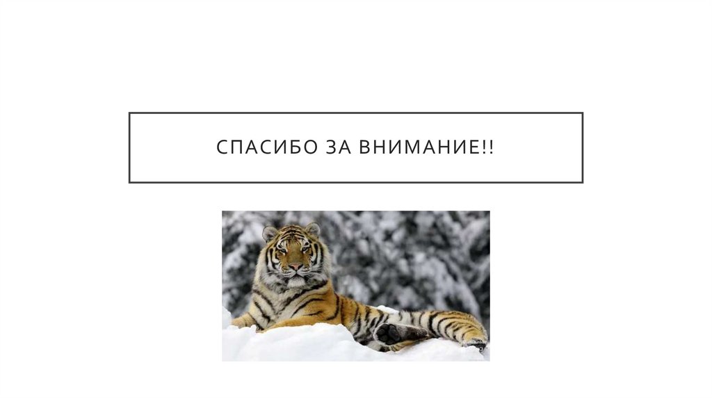 Спасибо за внимание!!