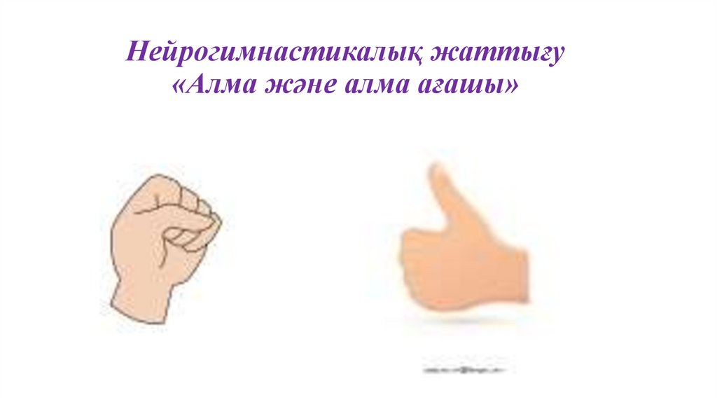 Нейрогимнастикалық жаттығу «Алма және алма ағашы»