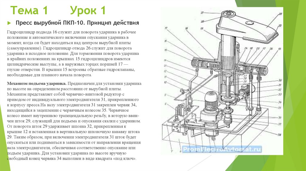 Тема 1 Урок 1