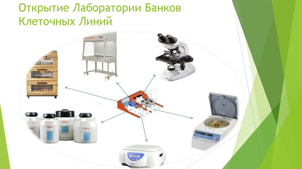 Открытие Лаборатории Банков Клеточных Линий