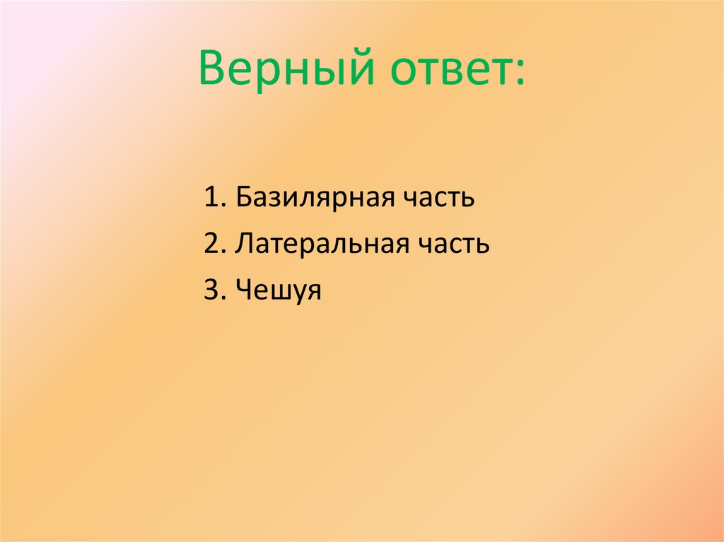 Верный ответ: