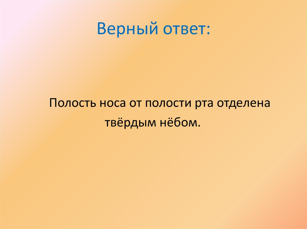 Верный ответ: