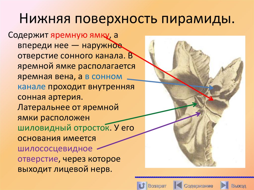 Нижняя поверхность пирамиды.