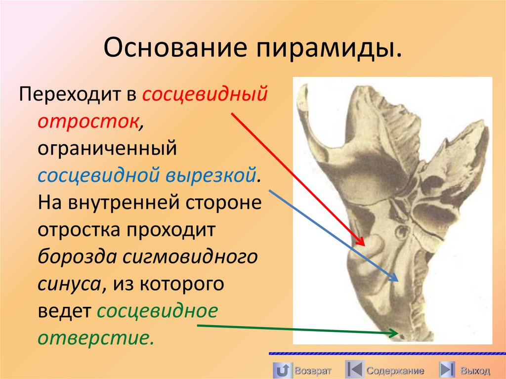 Основание пирамиды.