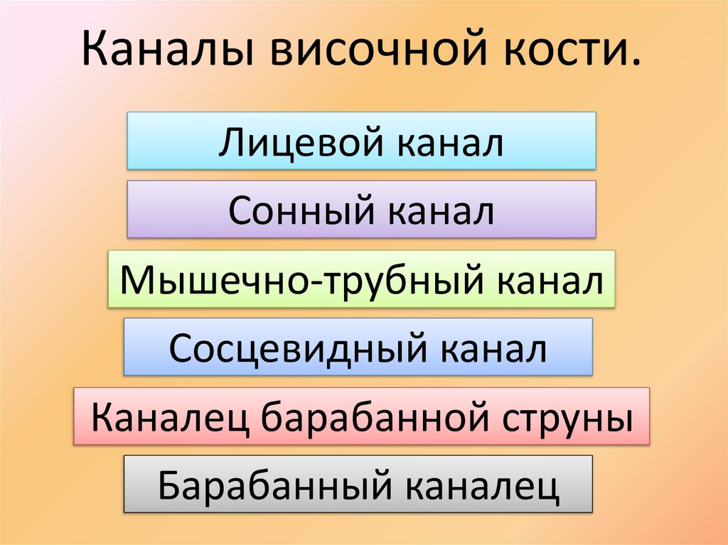 Каналы височной кости.