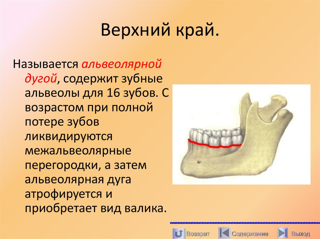 Верхний край.