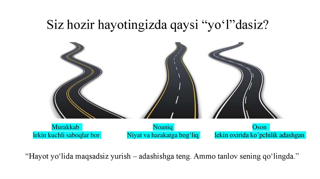 Siz hozir hayotingizda qaysi “yo‘l”dasiz?