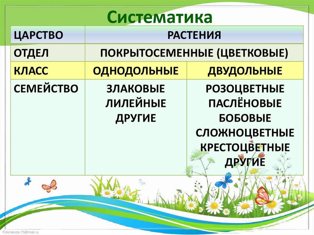 Систематика