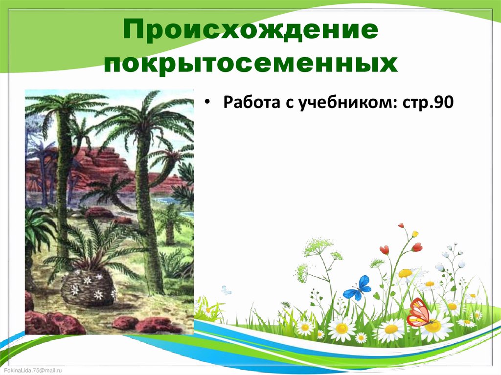 Происхождение покрытосеменных