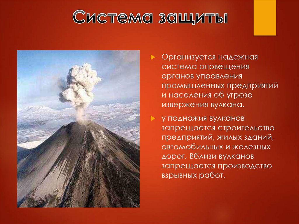 Система защиты