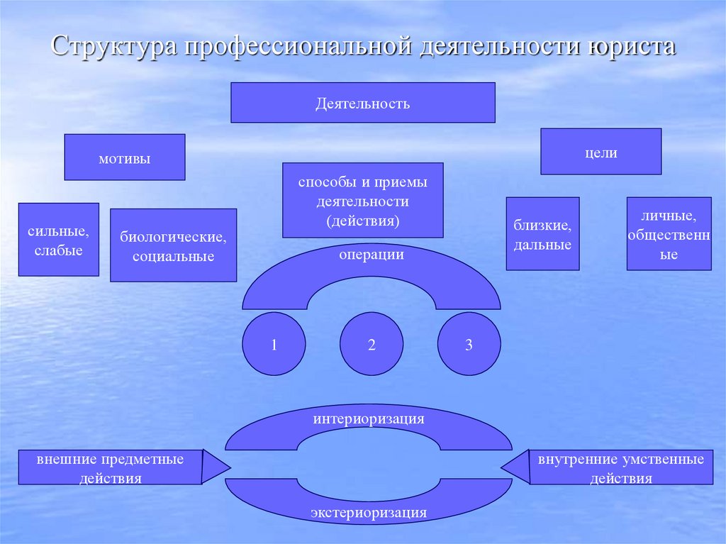 Структура профессиональной деятельности юриста