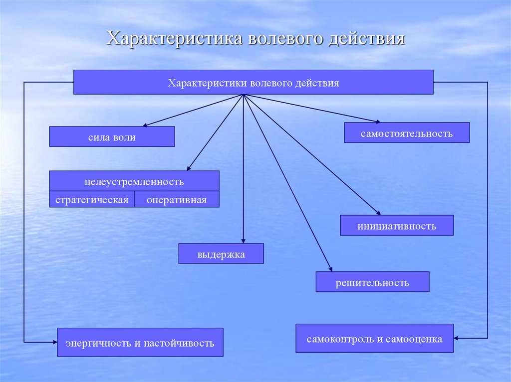 Характеристика волевого действия