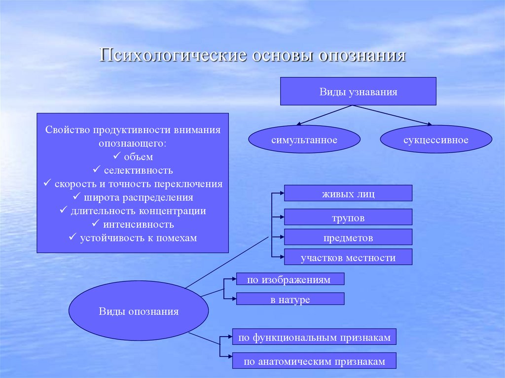 Психологические основы опознания