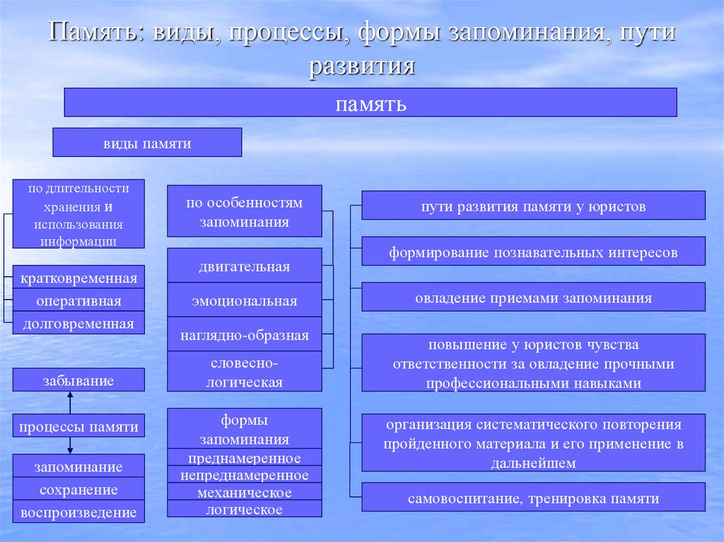 Память: виды, процессы, формы запоминания, пути развития