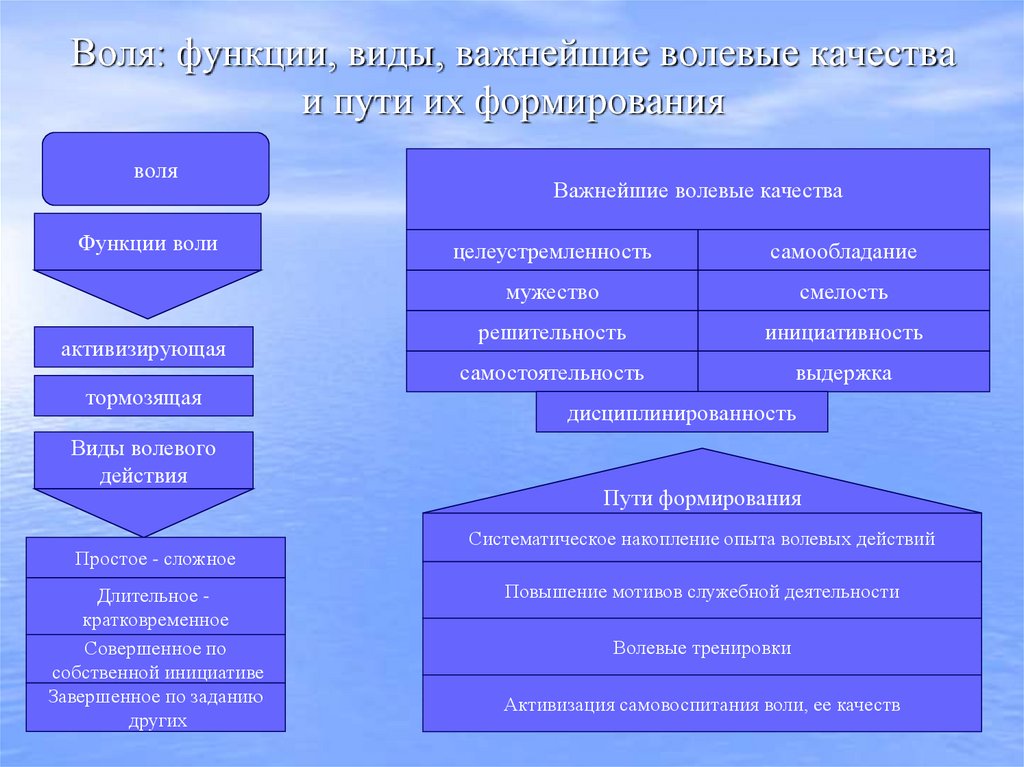 Воля: функции, виды, важнейшие волевые качества и пути их формирования