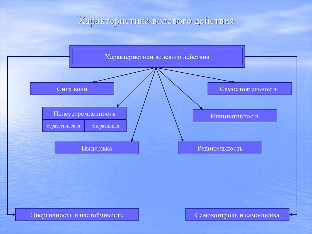 Характеристика волевого действия