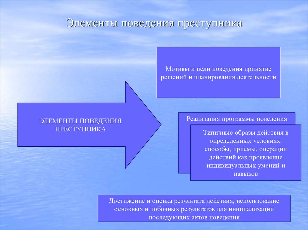 Элементы поведения преступника