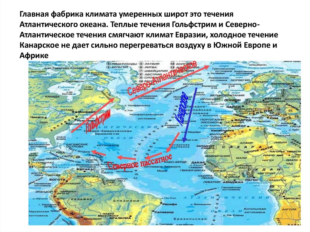 Главная фабрика климата умеренных широт это течения Атлантического океана. Теплые течения Гольфстрим и Северно-Атлантическое