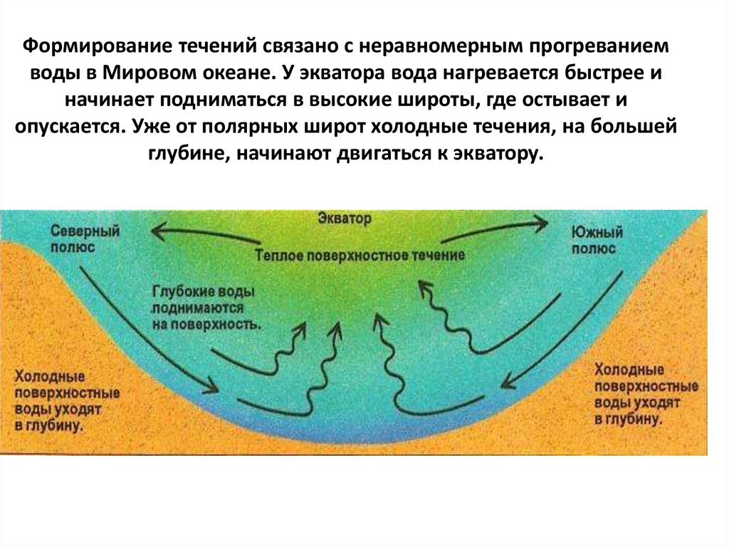 Формирование течений связано с неравномерным прогреванием воды в Мировом океане. У экватора вода нагревается быстрее и начинает