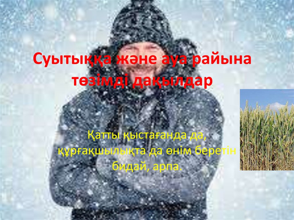 Суытыққа және ауа райына төзімді дақылдар