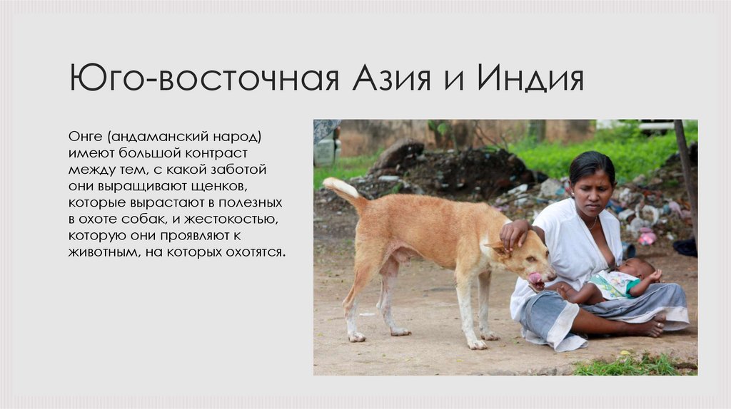 Юго-восточная Азия и Индия