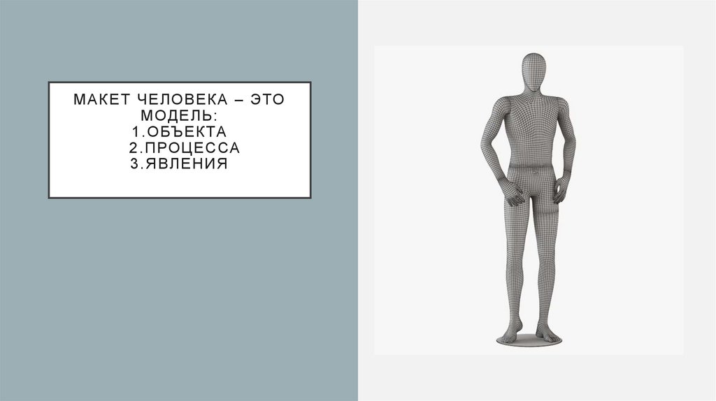 Макет человека – это модель: 1.обЪекта 2.процесса 3.явления