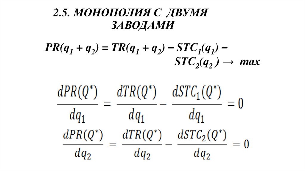2.5. МОНОПОЛИЯ С ДВУМЯ ЗАВОДАМИ