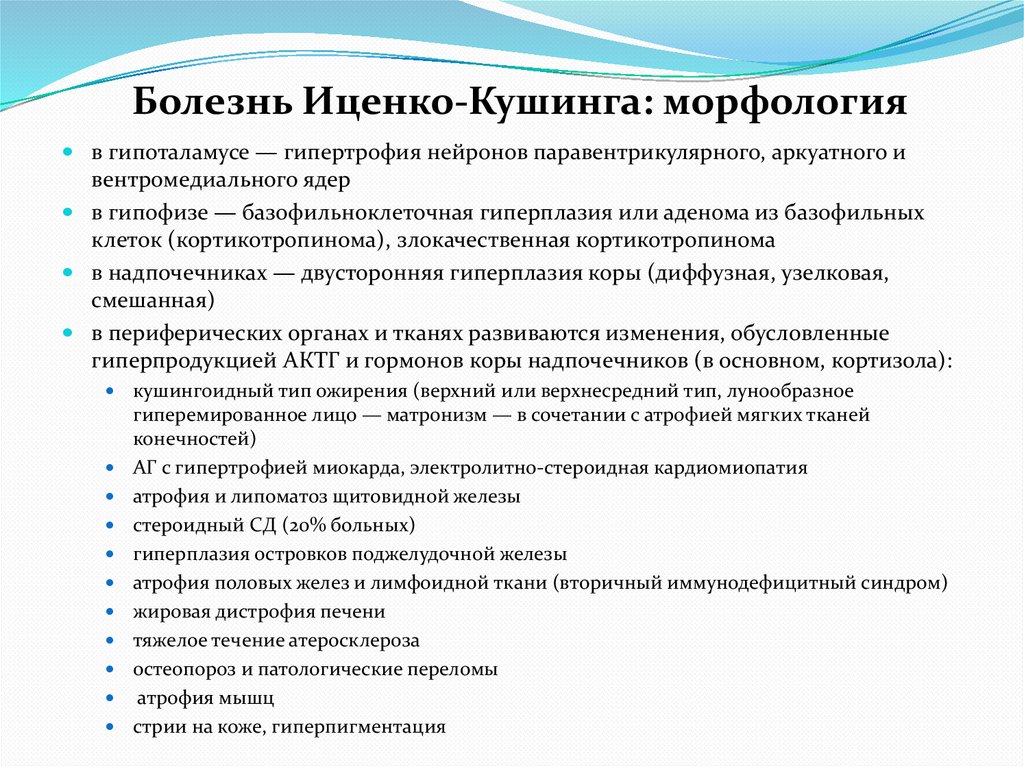 Болезнь Иценко-Кушинга: морфология