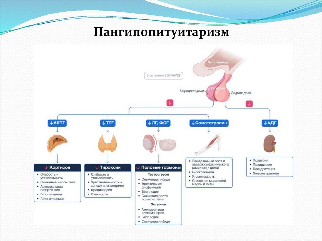 Пангипопитуитаризм