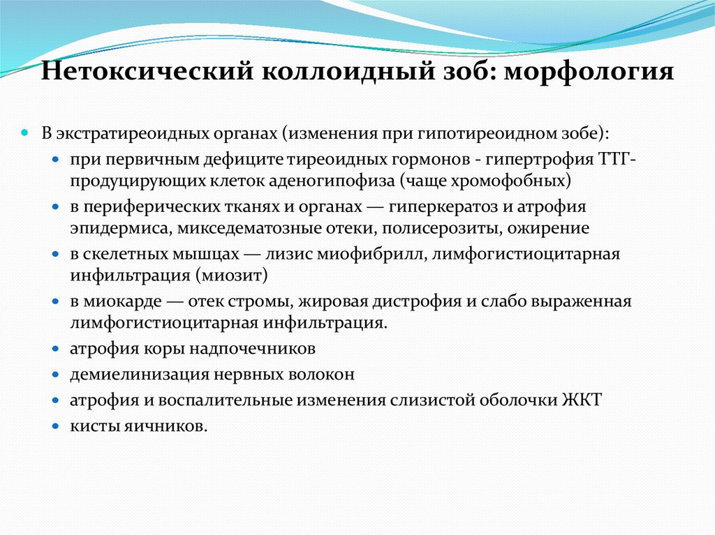 Нетоксический коллоидный зоб: морфология
